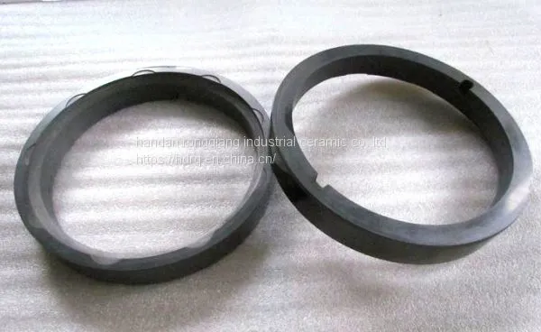 Sintered Sic Seal Ring for Chemical Pump