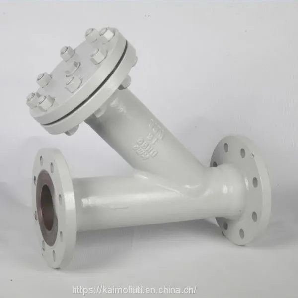 WCB Flange Ends Y Strainer for Water Oil photo-2