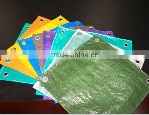 80gsm-320gsm China PE Tarpaulin Factory photo-5
