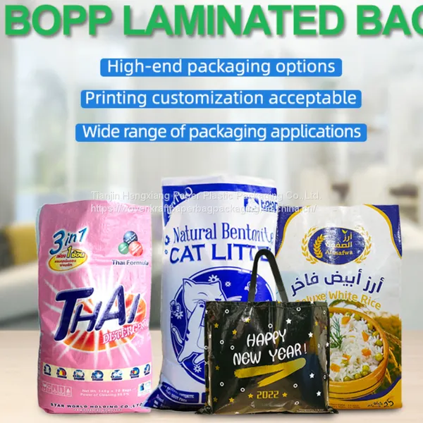 Fashion Recycled Eco-friendly Laminated Polypropylene Plastic Tote Shopping pp Woven Bag photo-4
