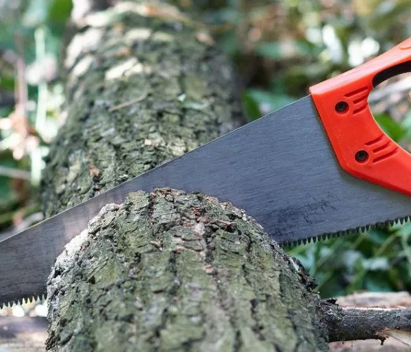 High Quality Hand Saw With Multiple Size Options for Wood Cutting Carpentry Building and Wholesale Supply photo-3