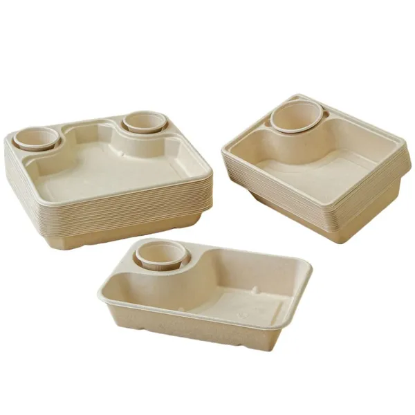 Takeaway Salad Tray With Sauce Well for Dressing, Dumpling Serving Tray With Condiment Cutout, Compostable Bagasse Food Container