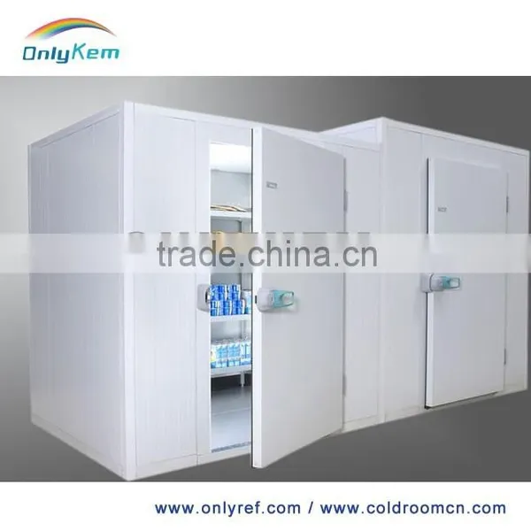 China Commercial Freezer for Fish and Chicken photo-3