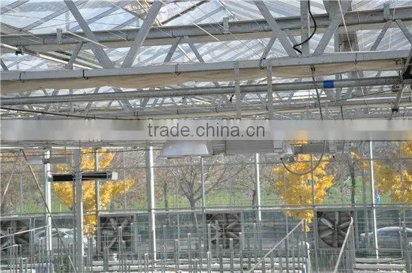 Hot Dip Galvanized Steel Frame Greenhouse photo-2