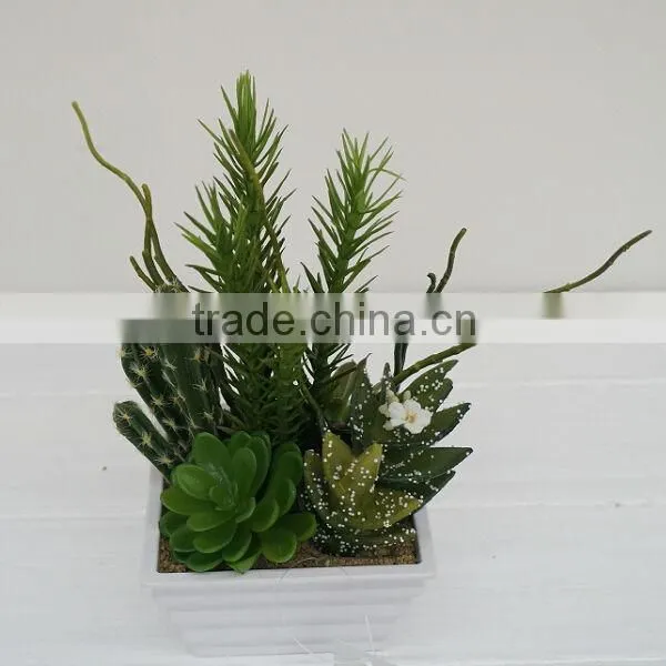 New Arrival Decorative Artificial Plants/ Succulent Plants Mixed Series photo-4