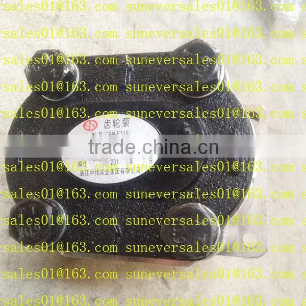 Hydraulic Pump CBN E316L for Foton Tractor photo-2