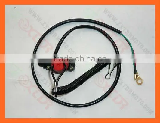2 stroke mini bike kill switch