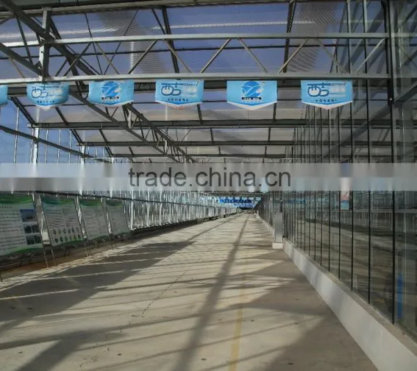 Commercial -Agricultural Polycarbonate Greenhouse photo-4