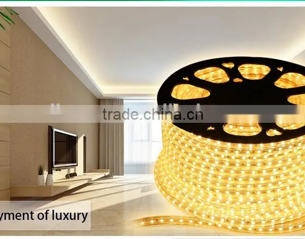 5050 LED Strip Light IP65 220V Easy Install Flexible Strip Light photo-4