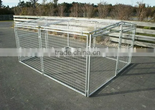 Galvanized Unique Iron Fence Steel Welded Wire Dog Kennels photo-5