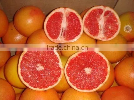 Fresh Grapefruit photo-3