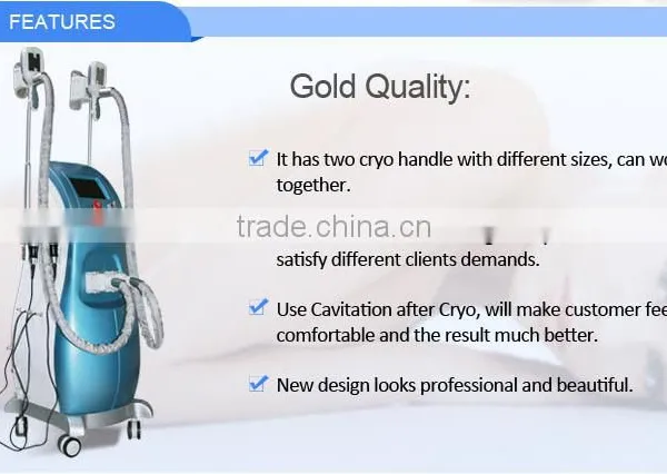 Slimming Reshaping Fat Freezing Machine / Cryolipolysis Weight Loss Slimming / Freezing Fat Cell Slimming Machine photo-4
