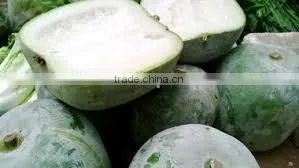 Ash Gourd