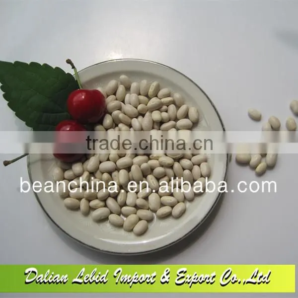 White Kidney Beans Japanese Type Good Quality