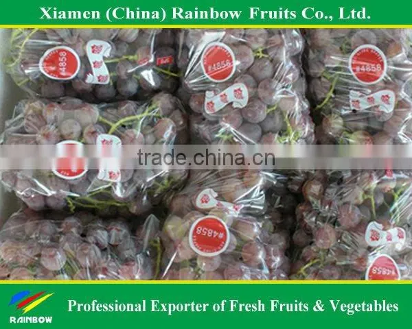 Top Quality Fresh Sweet Yunnan Red Grapes for Sell With POP SGV Brand photo-5