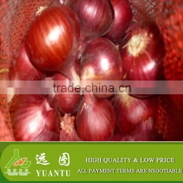 Onion Importers in Quatar/onion Importers in Malaysia/fresh Onion photo-4