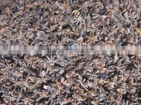 VIETNAM HIGH QUALITY STAR ANISE photo-6
