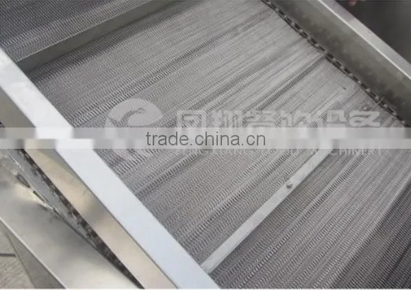 PT-2000 Automatic Stainless Steel Leafy Vegetable Blanching Machine photo-4