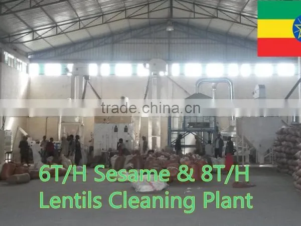 Green Mung Bean Cleaning Plant photo-2