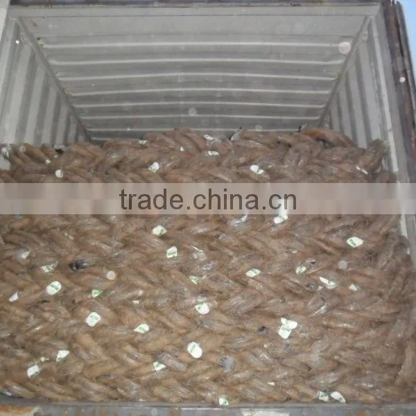 Yiwu Market Factory Hot Sales 18 22 Gauge Low Price Electro Galvanized Wire Iron Rope photo-3
