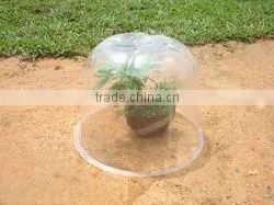 Bell Plastic Garden Cloches HX35011-3 photo-4