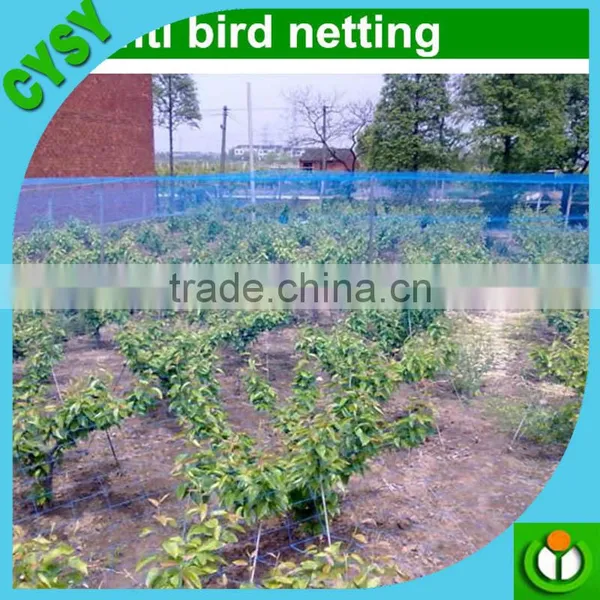 Plastic Anti Bird Net/Capture Bird Net/Agriculture Bird Net photo-4