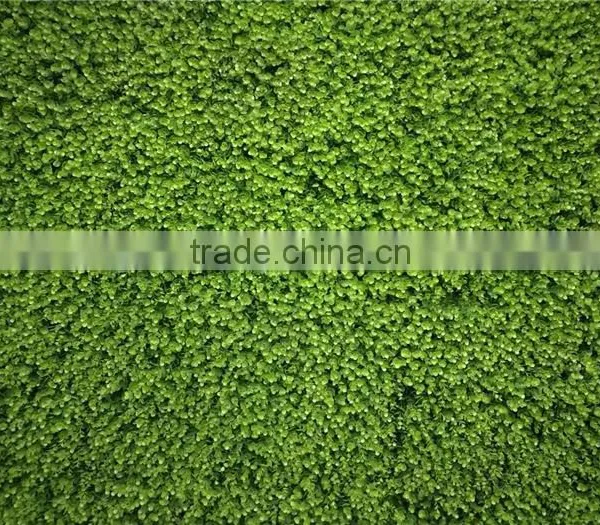 Recycling Material Long Life Green Grass Wall for Indoor and Outdoor Decor photo-3