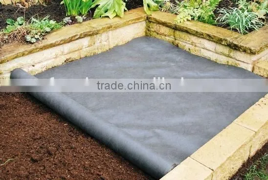 Agricultural pp Weed Mat Black Plastic Ground Cover for Sale photo-4