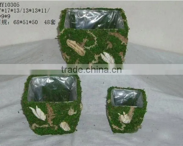 Moss Basket Set