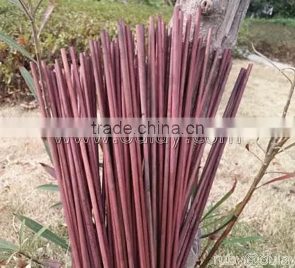 Bamboo Garden Canes Growing Sticks for Planting Support DYED BROWN photo-3