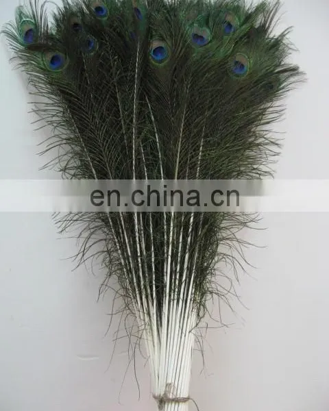 Factory Directly Sale Wholesale Top Quality Peacock Feathers in Stock photo-2