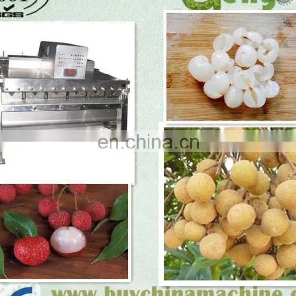 Longan Fruit Peeling and Pitting Machinery Lychee Fruit Peeler and Seeds Core Removing Equipment Litchi Juice Processing Line photo-4