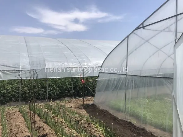 200 Micron Ldpe uv Transparent Agricultural Plastic Filmsheeting, Greenhouse Clear Polyethylene Films Covering Roll 10m Width photo-2