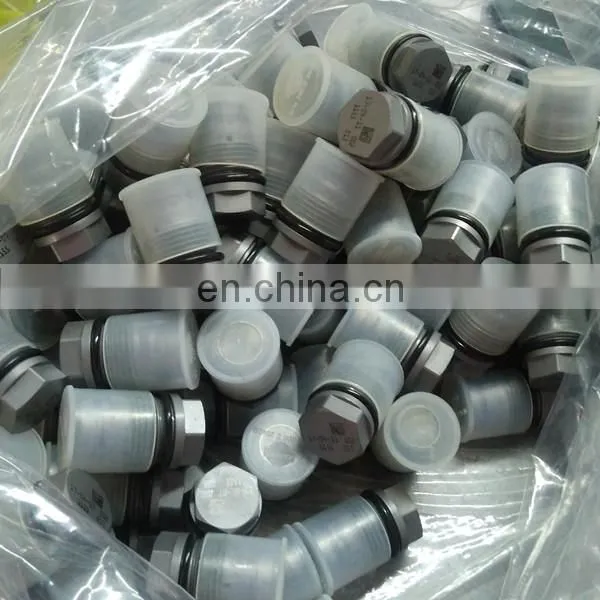 Pressure Limiting Valve 1110010024