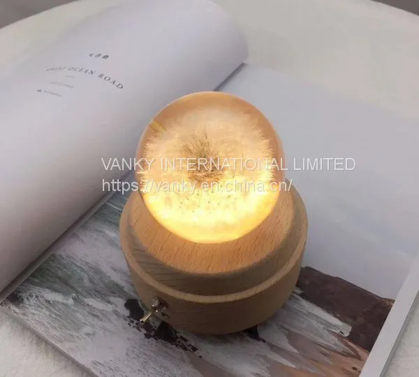 Dandelion Music Box photo-2