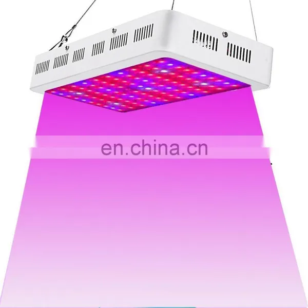 Factory Price 1000W Double Chips Full Spectrum LED Grow Lights for Indoor Plants photo-6
