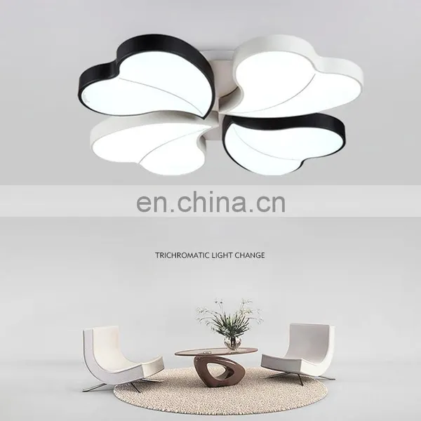Modern and Simple Led Ceiling Lighting Acrylic Heart-shaped Creative Living Room Bedroom Study Room Lighting Special Wholesale photo-2