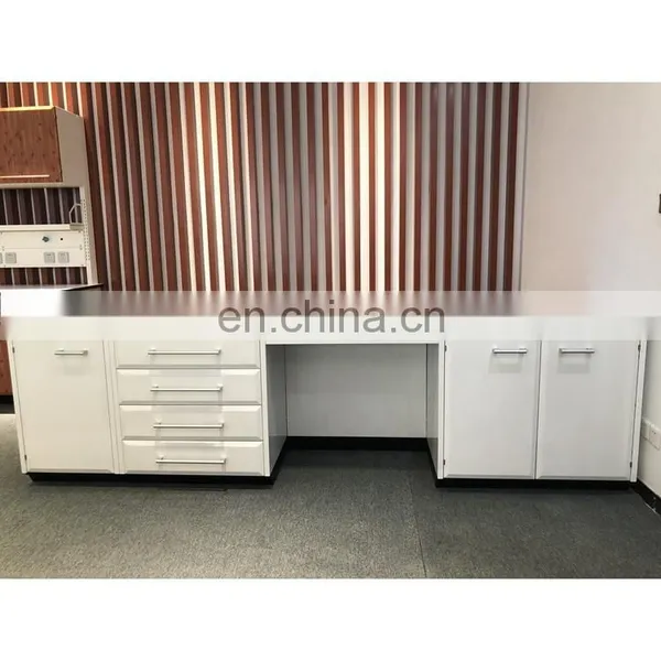 Customized Chemical Laboratory Floor Mounted Worktable Work Bench photo-5