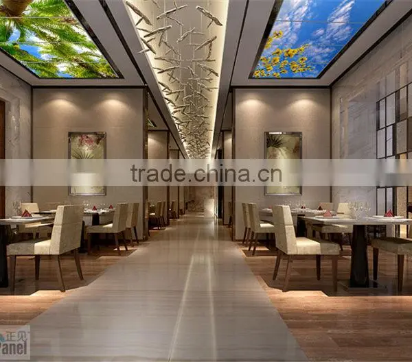 2016 Luminous Led Sky Curtain Wall Panel photo-3
