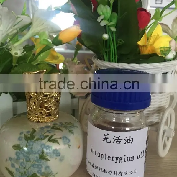 Pure and Natural Notopterygium Root Oil for Medicine Grade photo-5