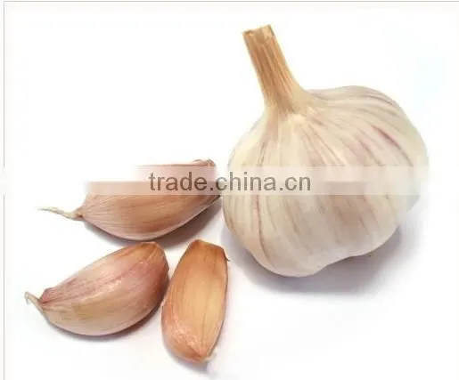 KH Steady Product Quality Garlic Press photo-4