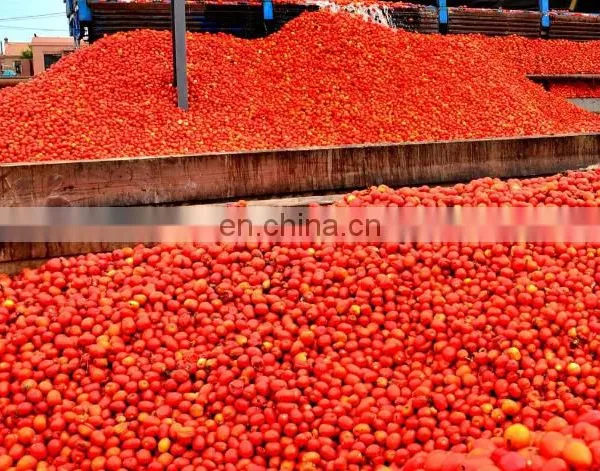 Factory Price Tomato Paste Processing Machine Ketchup Production Line Tomato Processing photo-2