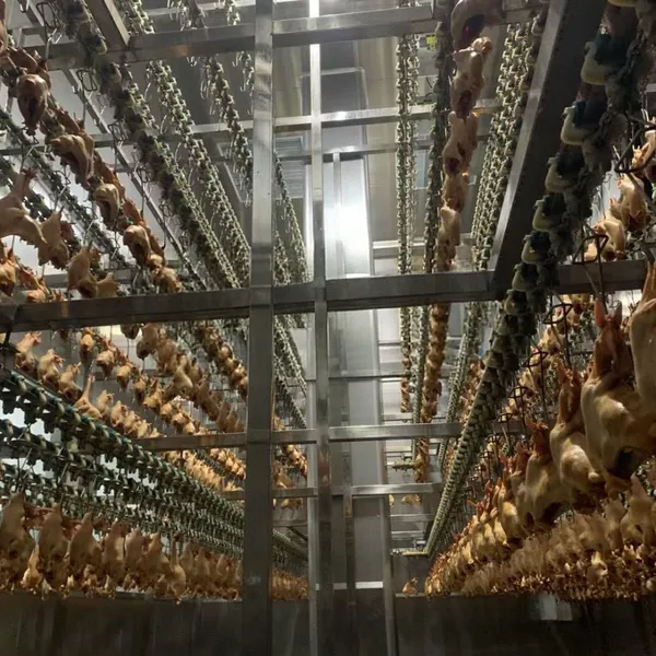 Chicken Slaughter Machine Duck Slaughter Equipment Pigeon Slaughter Machine Line photo-5