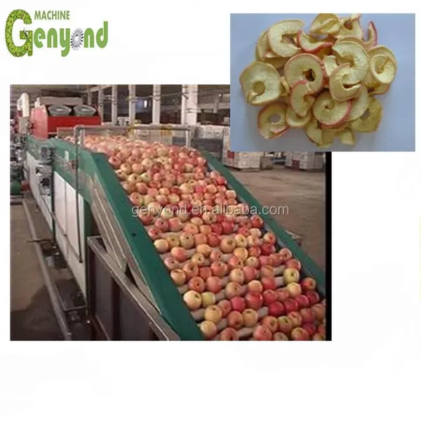 Drying Oven for Complete Industrial Apple Chips Making Machines