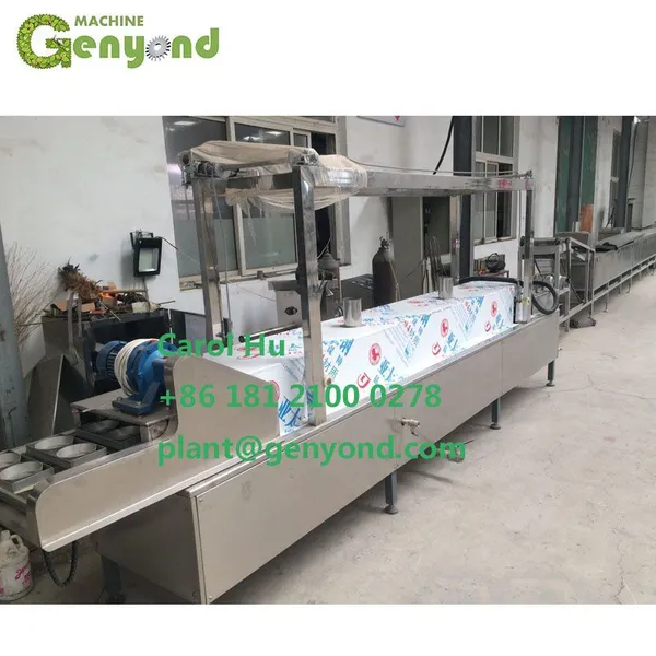 Factory Genyond Good Quality Automatic Non Fried Instant Noodles Making Machine Production Line photo-4