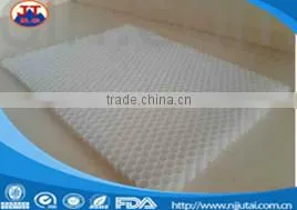 PP Honeycomb Panels photo-2