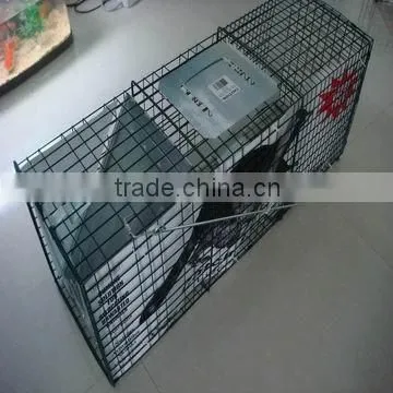 Live Animal Trap