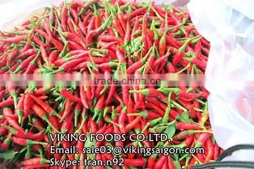 RED CHILI (FRESH/FROZEN/DRIED/POWDER)