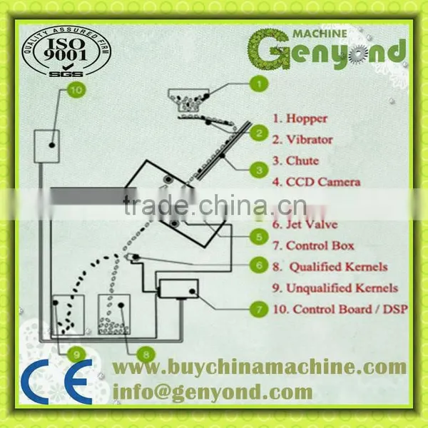 Dry Fruits COLOR Sorting Machine WITH CCD Camera