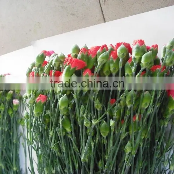 China Classical Carnation for Wedding Stage Backdrop Decoration photo-6